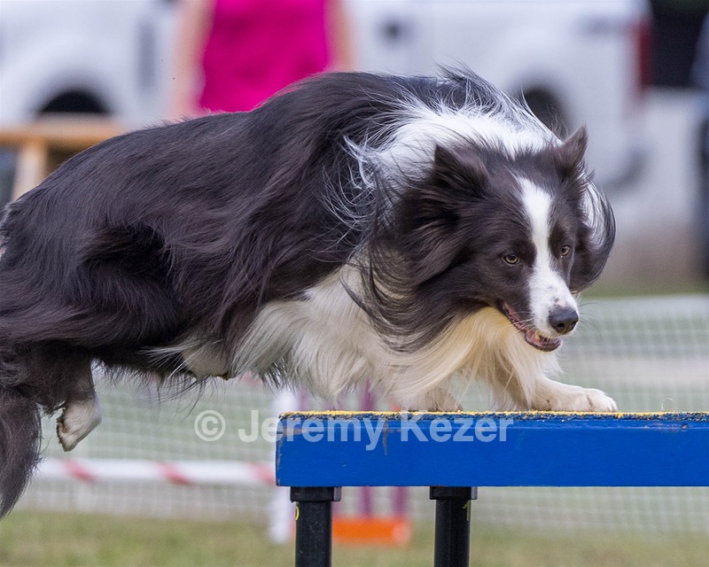 20230917-PVKC-2771.jpg
