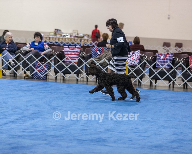 14 - Chantico's Super G O'Muddy Waters (Ghillie)