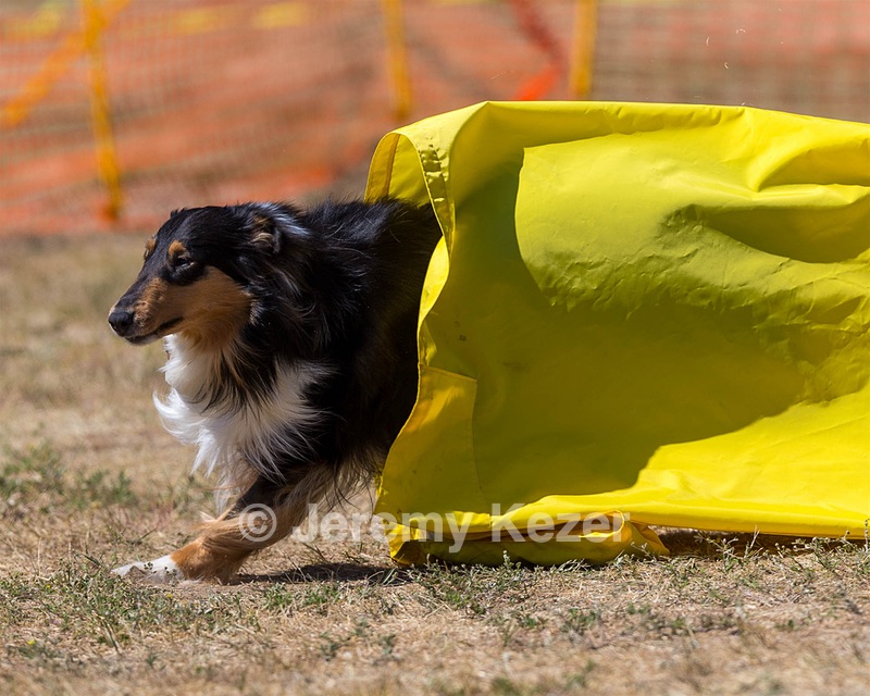 20160619-CCKC-1627.jpg