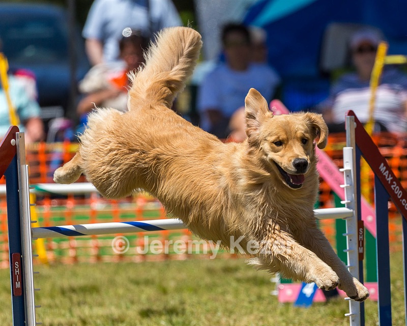 20190615-CCKC-1066.jpg