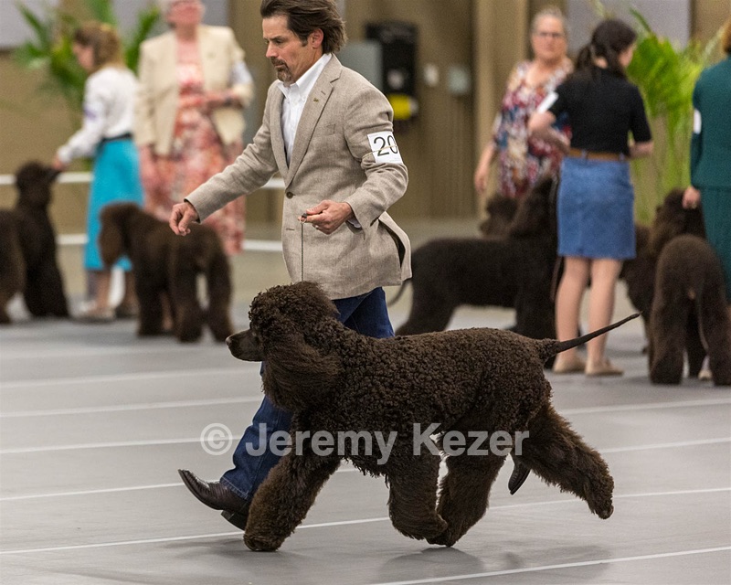 201 - CH Realta & Sycomore O’Boy