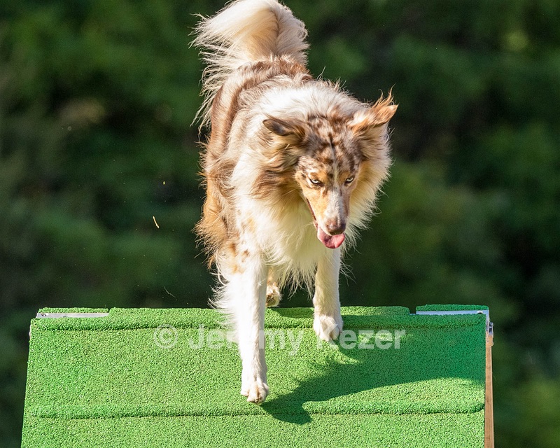 20160618-CCKC-2443.jpg