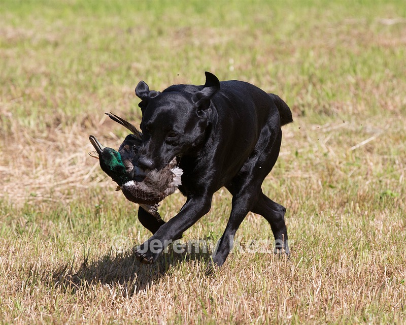 20130602-SEAL-0191.jpg