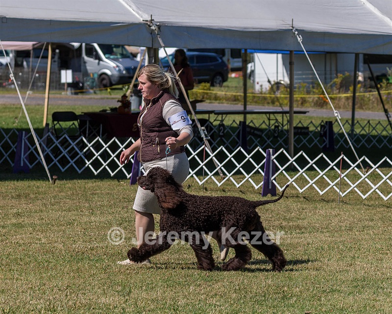 09 - POOLE'S IDE SARGEANT SLOANE (Sloane)