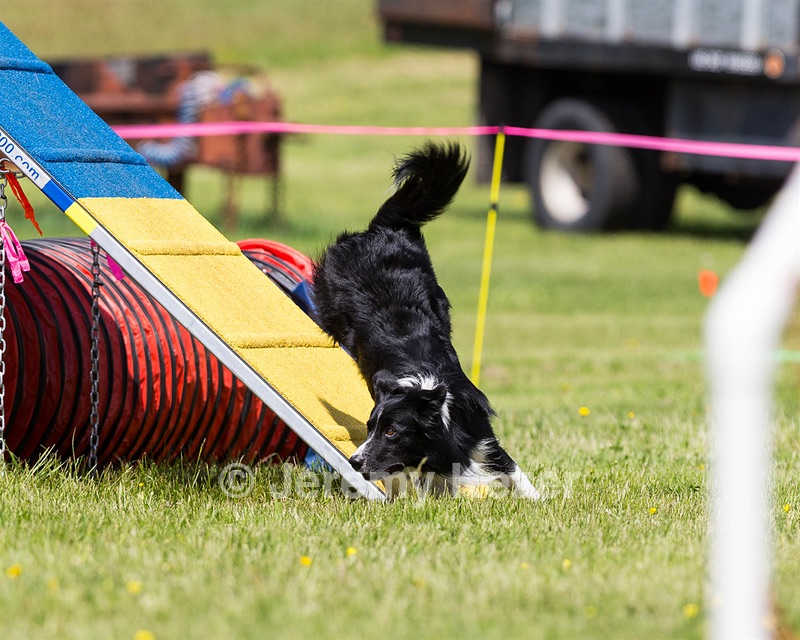 20160514-NEAT-1064.jpg