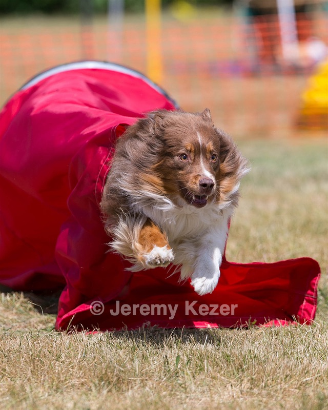 20150613-CCKC-0192.jpg