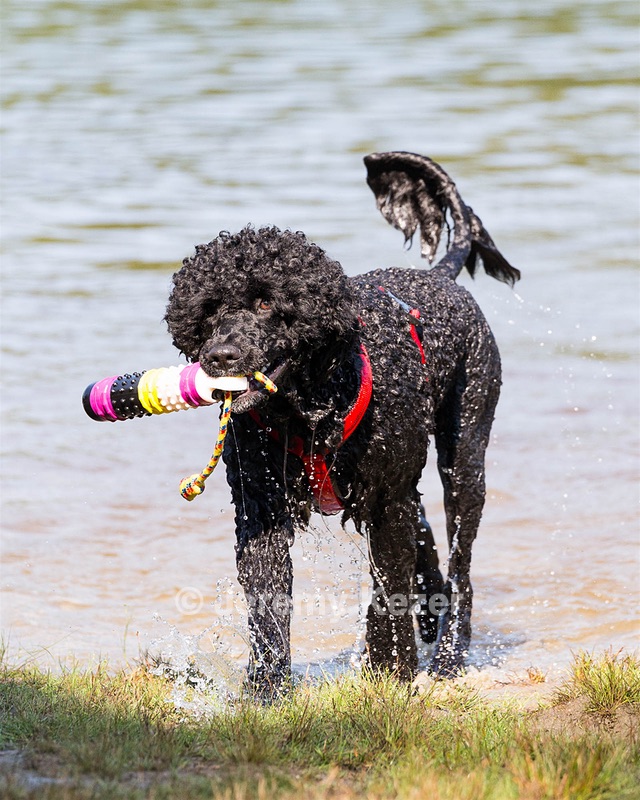 Phelps