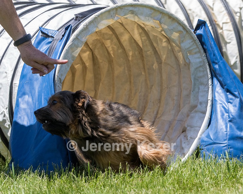 Travis Pier