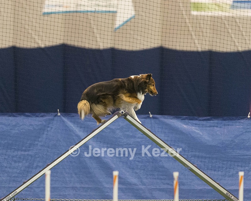20150321-LEAP-1324.jpg