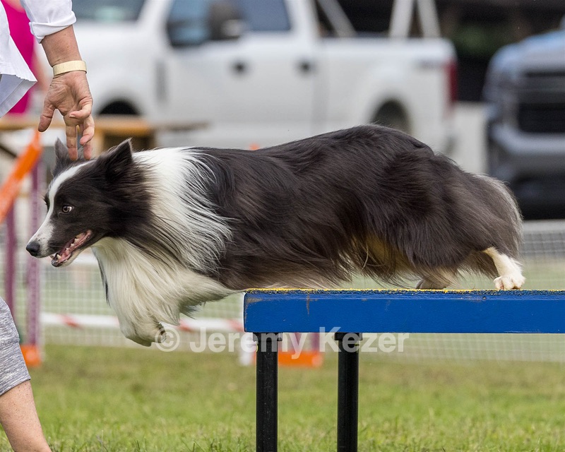 20230917-PVKC-2773.jpg
