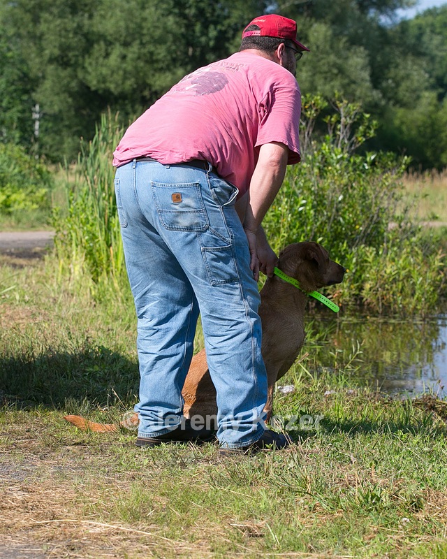 Gator Roche