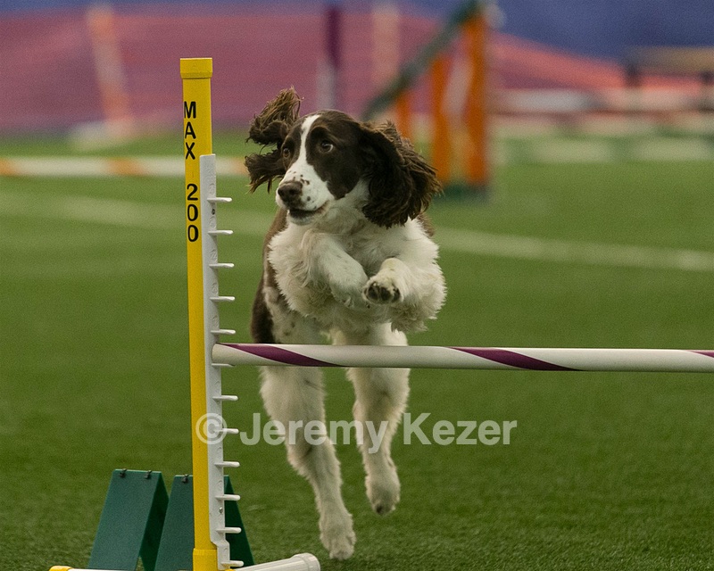 20150321-LEAP-1431.jpg
