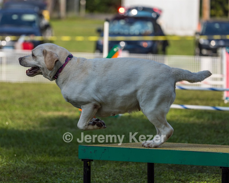 Violet Duke