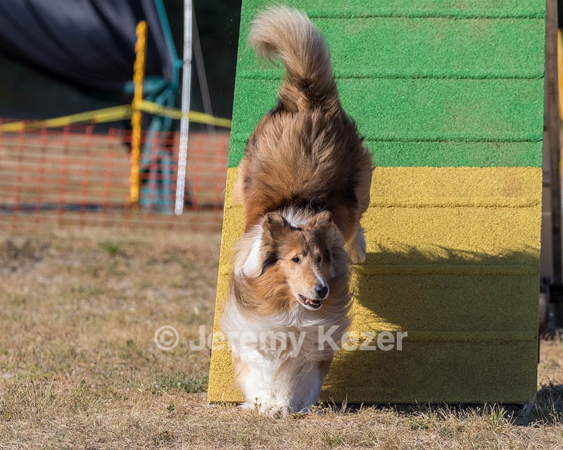 20160618-CCKC-2436.jpg