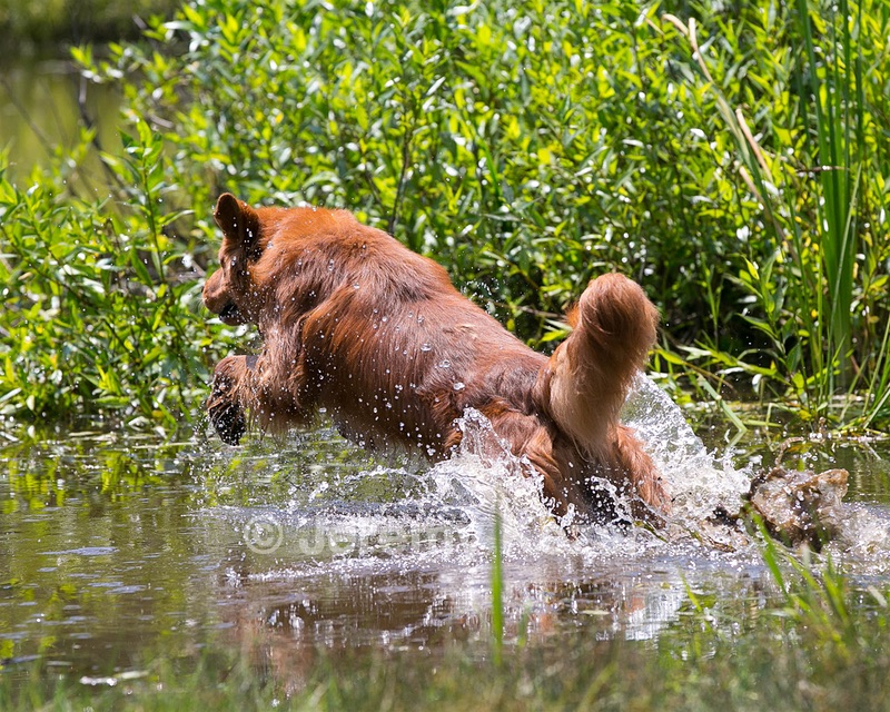 20130714-MHB2-0075.jpg