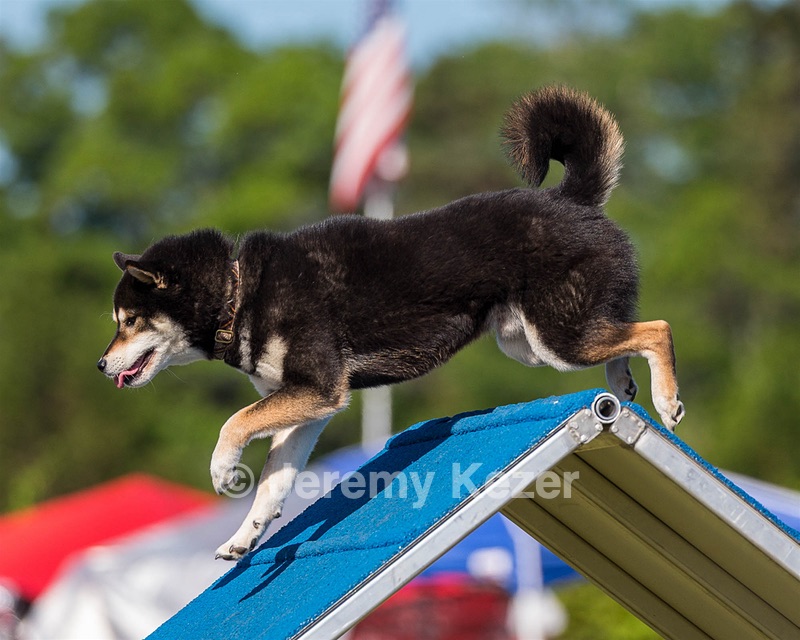 20180617-0096.jpg