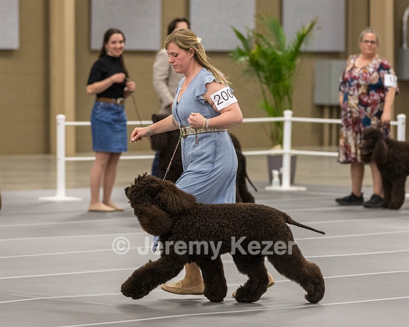 200 - GCH CH Poole’s Ide By Design