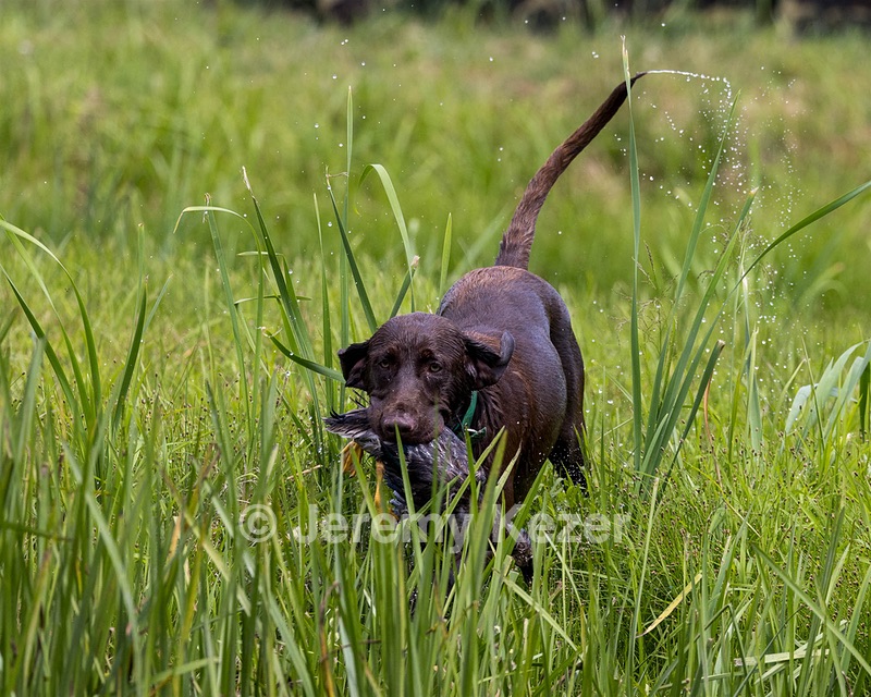 20220724-JHW-0218.jpg