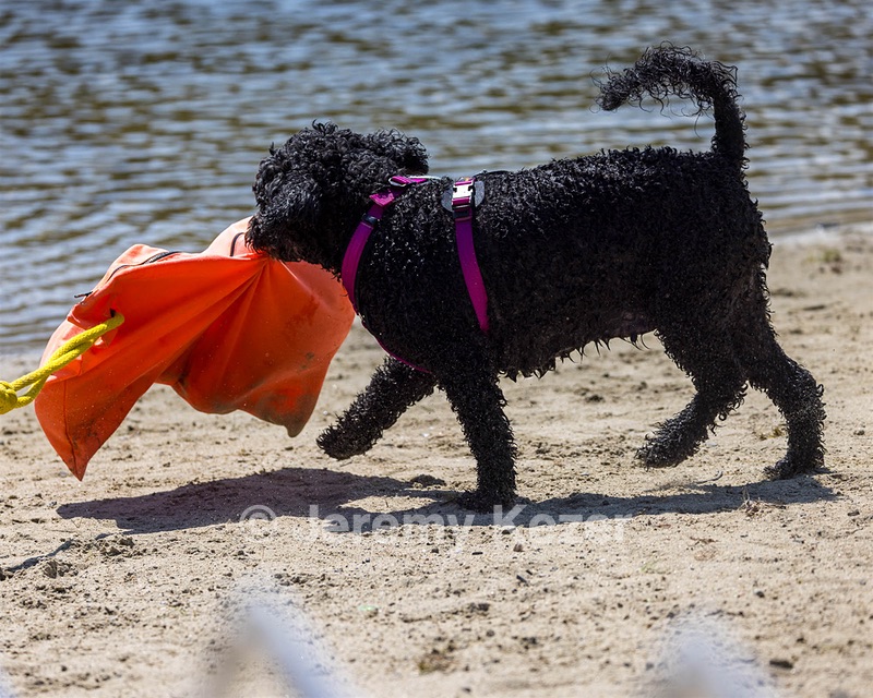 Tango Abbruzzese