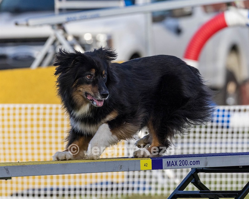 20230916-PVKC-1735.jpg