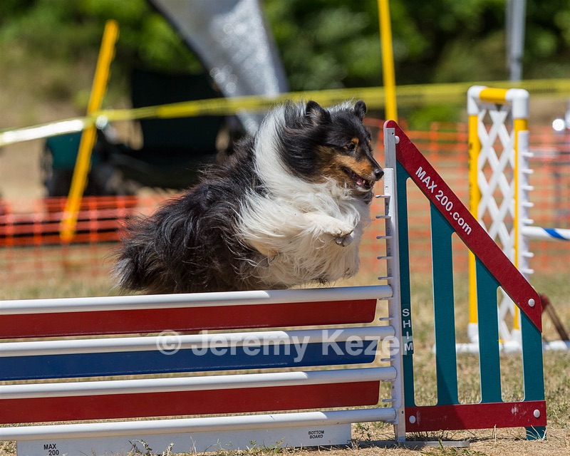 20160619-CCKC-1256.jpg