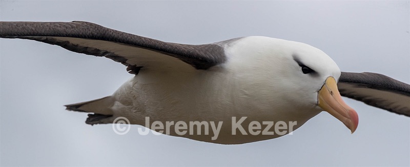 20191211-0564.jpg