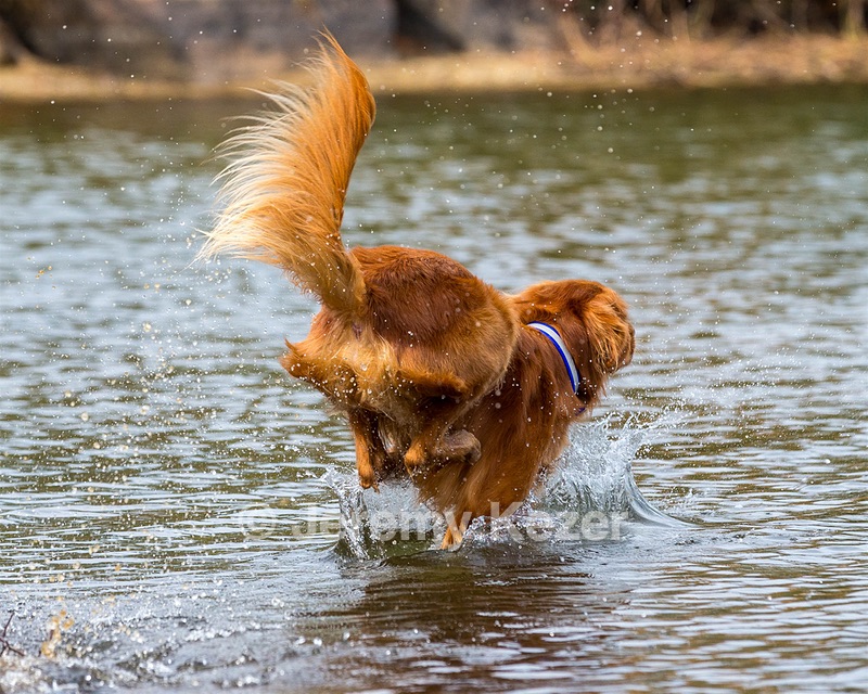 Finley