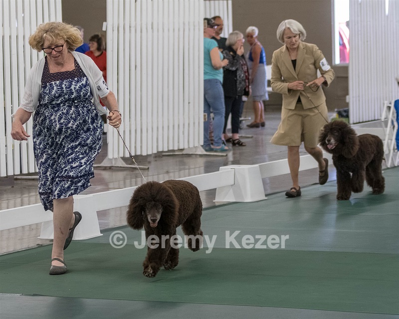 20190515-CO-1890.jpg