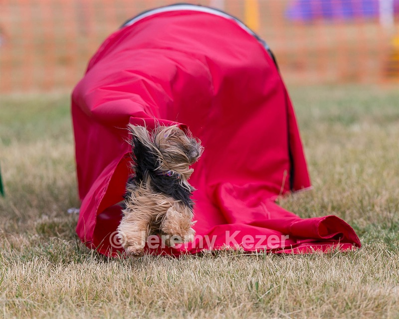 20150613-CCKC-0038.jpg