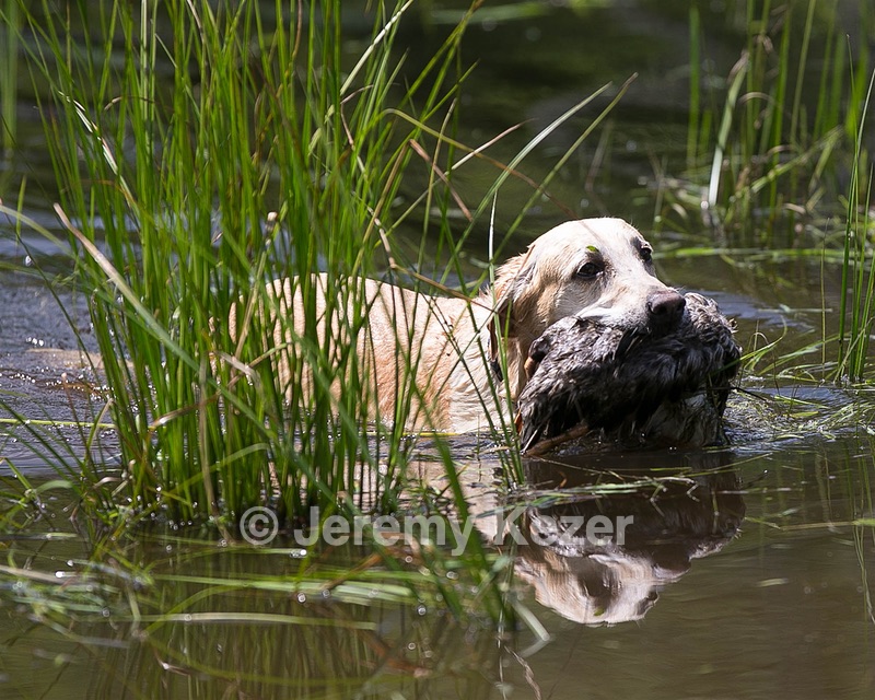 20140809-JHW-0391.jpg