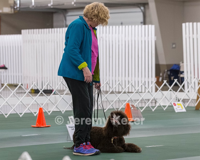 2104 - GCH ARROYO'S BEGIN THE BEGUINE AX OAJ NF (Porter)