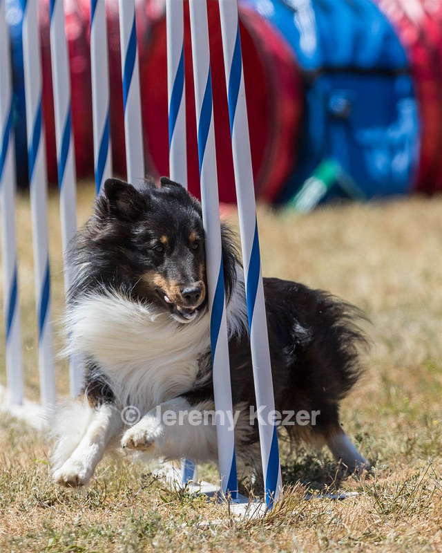 20160618-CCKC-1686.jpg