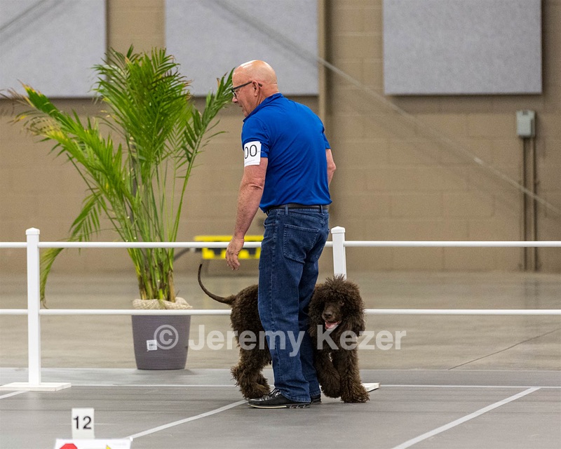700 - GCH Blackthorn’s Lass That Loves A Sailor in Wicklow CD RM CGC