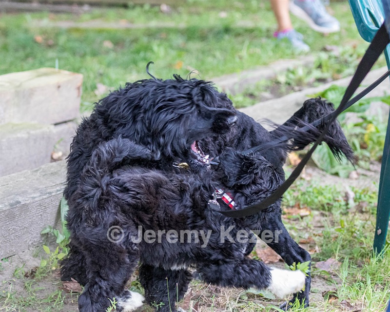 20170819-C-0016.jpg