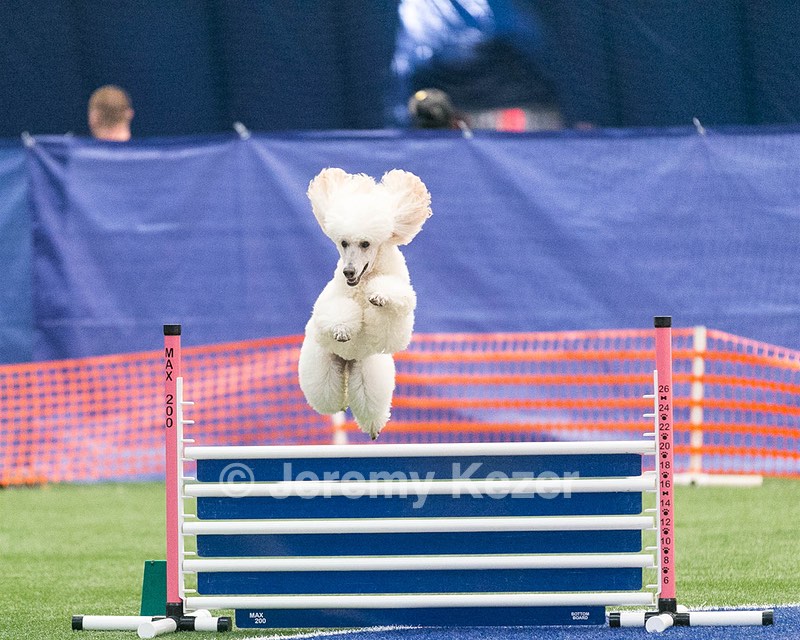 20150322-LEAP-0481.jpg