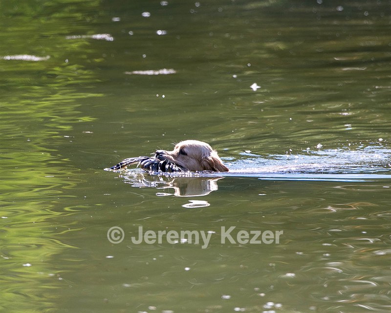Johnny