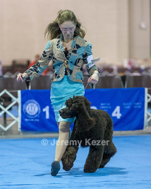 10 - Poole's Ide Touch Of Mink (Darla)