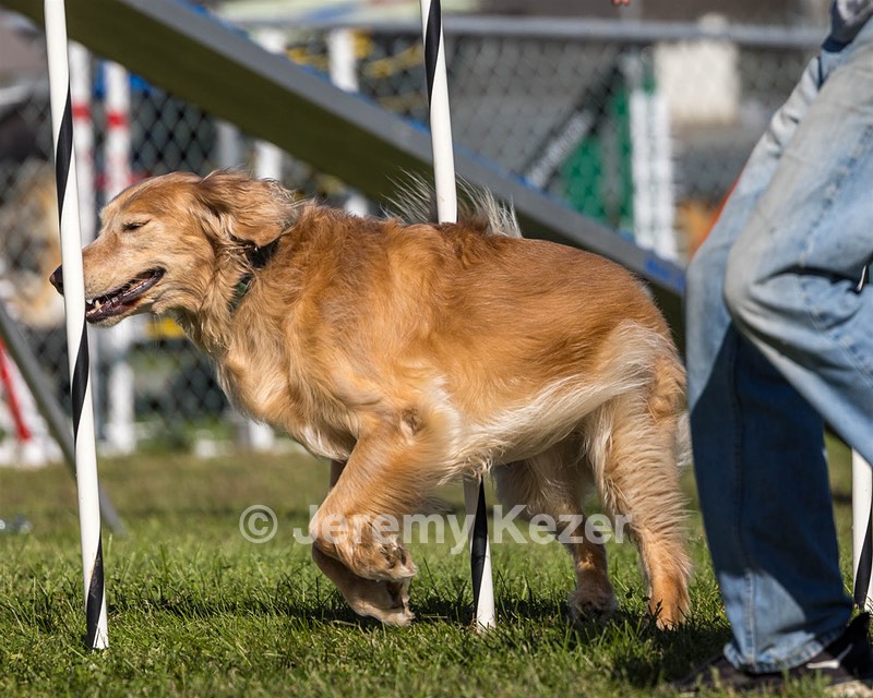 20230917-PVKC-2607.jpg