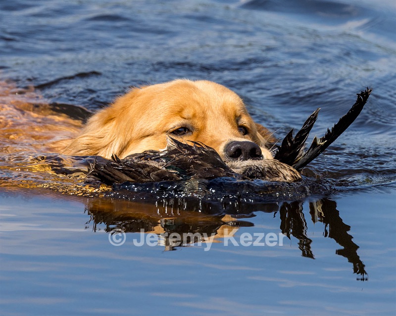 Devon Washburn