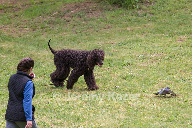 20190512-BD-0149.jpg