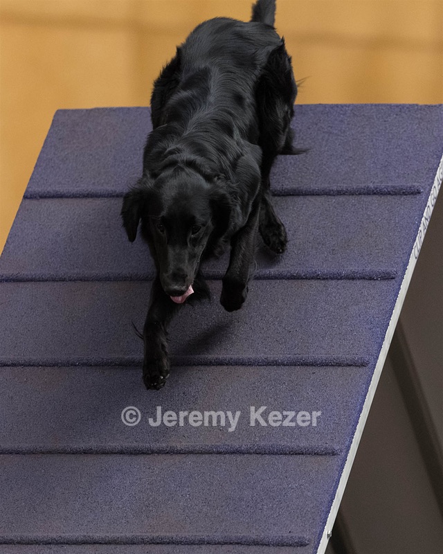 Declan Juza