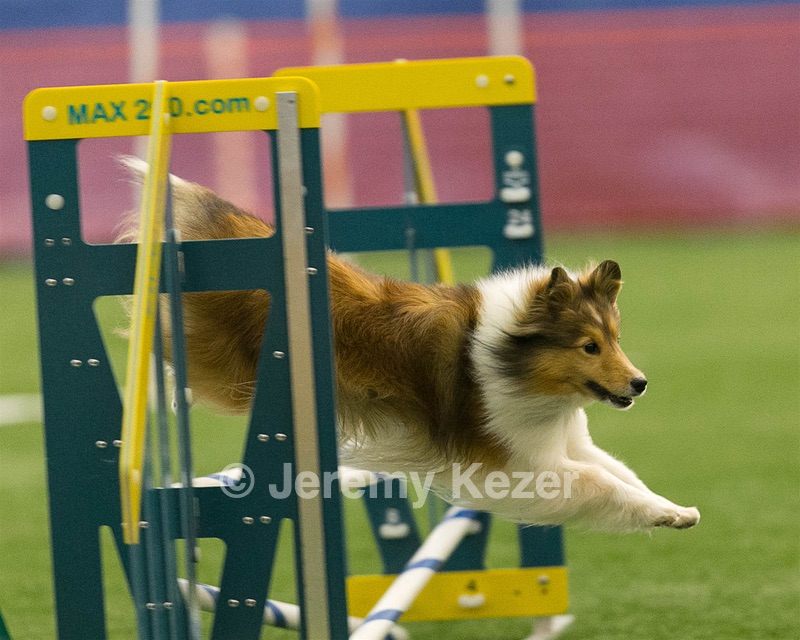 20150321-LEAP-1617.jpg
