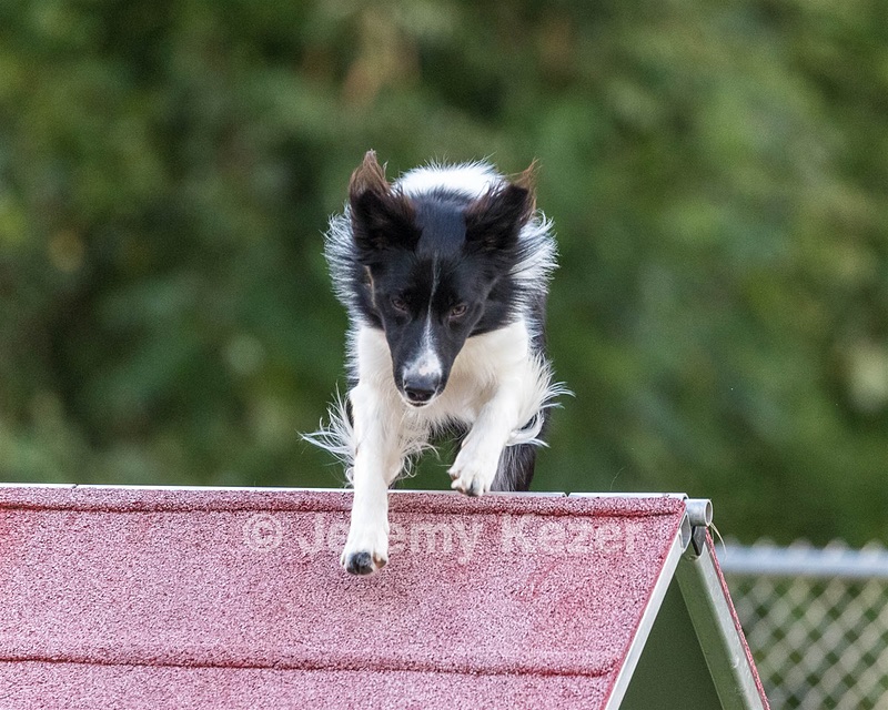 20200819-3001.jpg