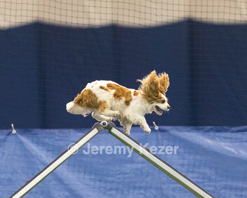 20150321-LEAP-1600.jpg