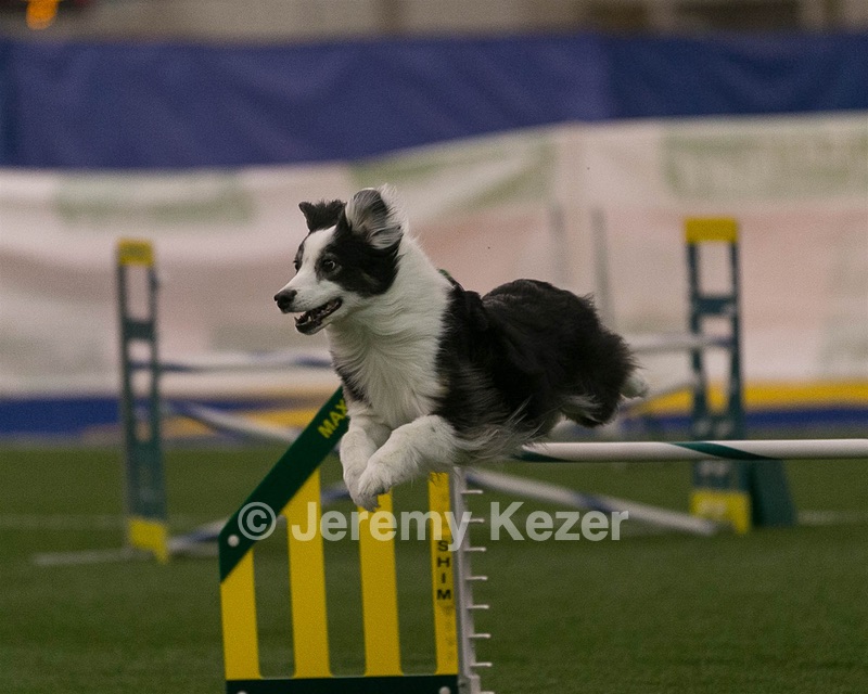 20150321-LEAP-0296.jpg