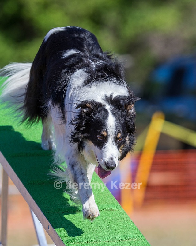20160618-CCKC-0149.jpg
