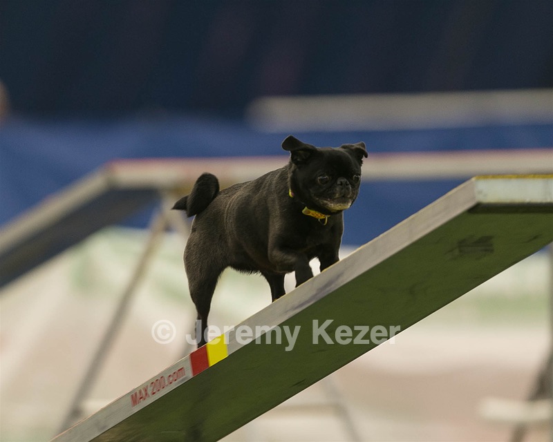 20150321-LEAP-1682.jpg