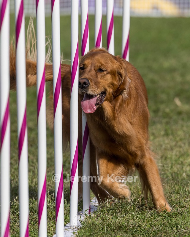 20230916-PVKC-1434.jpg