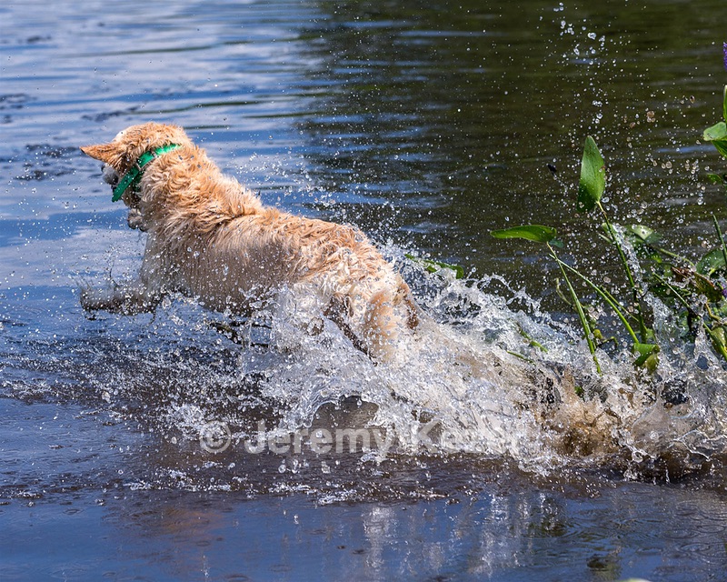 Rio Drager