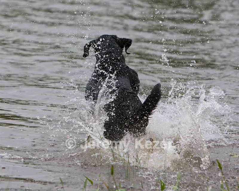 20080531-HRW-1011.jpg